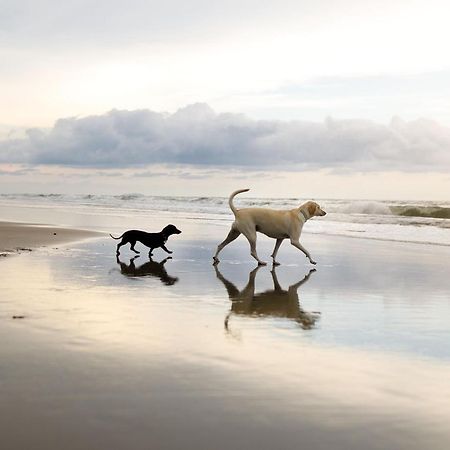 Echo Beach Filey Bagian luar foto