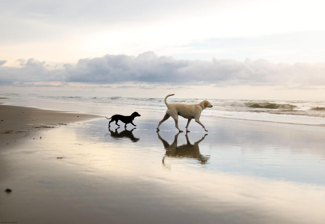 Echo Beach Filey Bagian luar foto